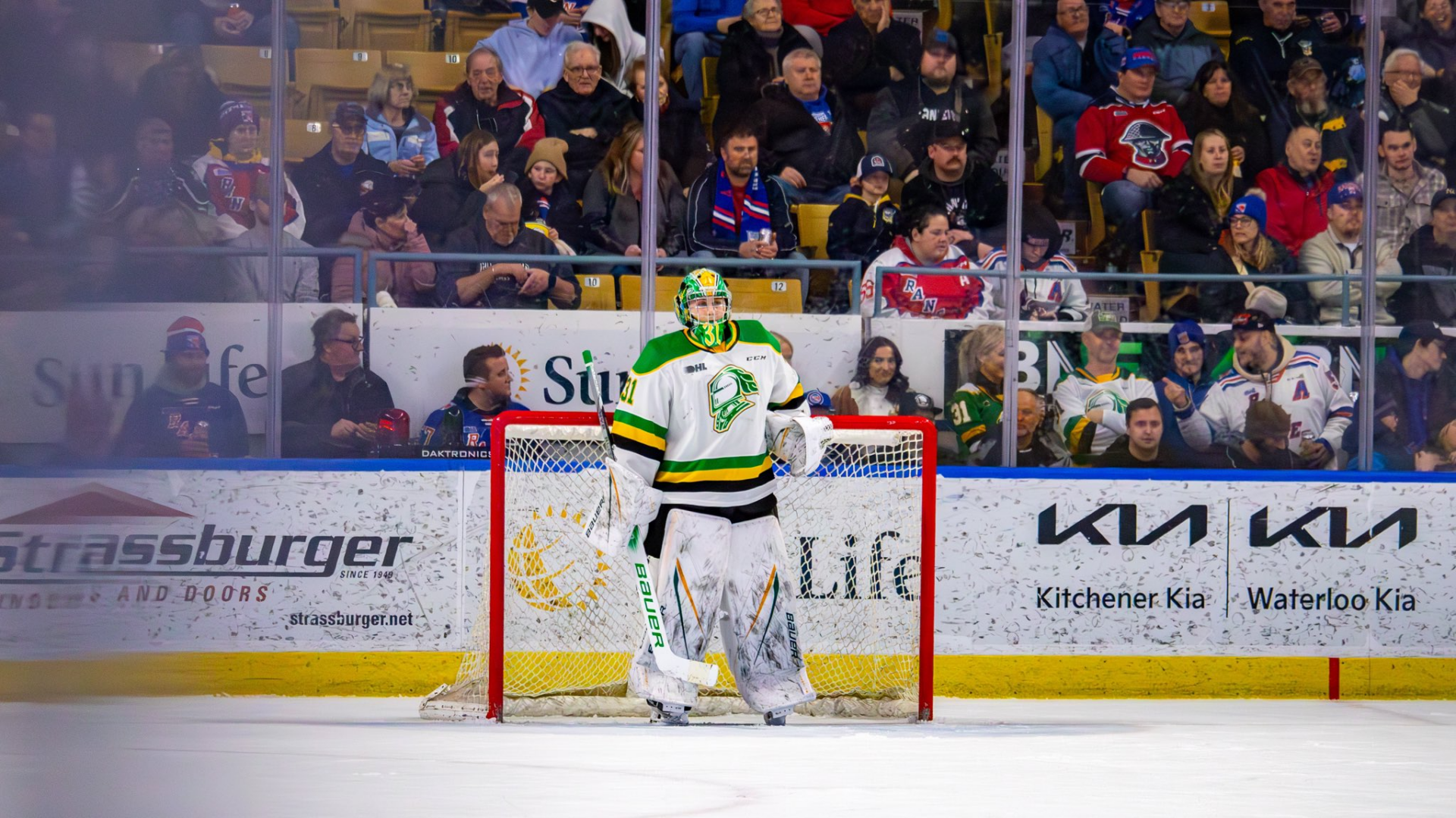 London Knights goaltender Michael Simpson stands in goal during a game