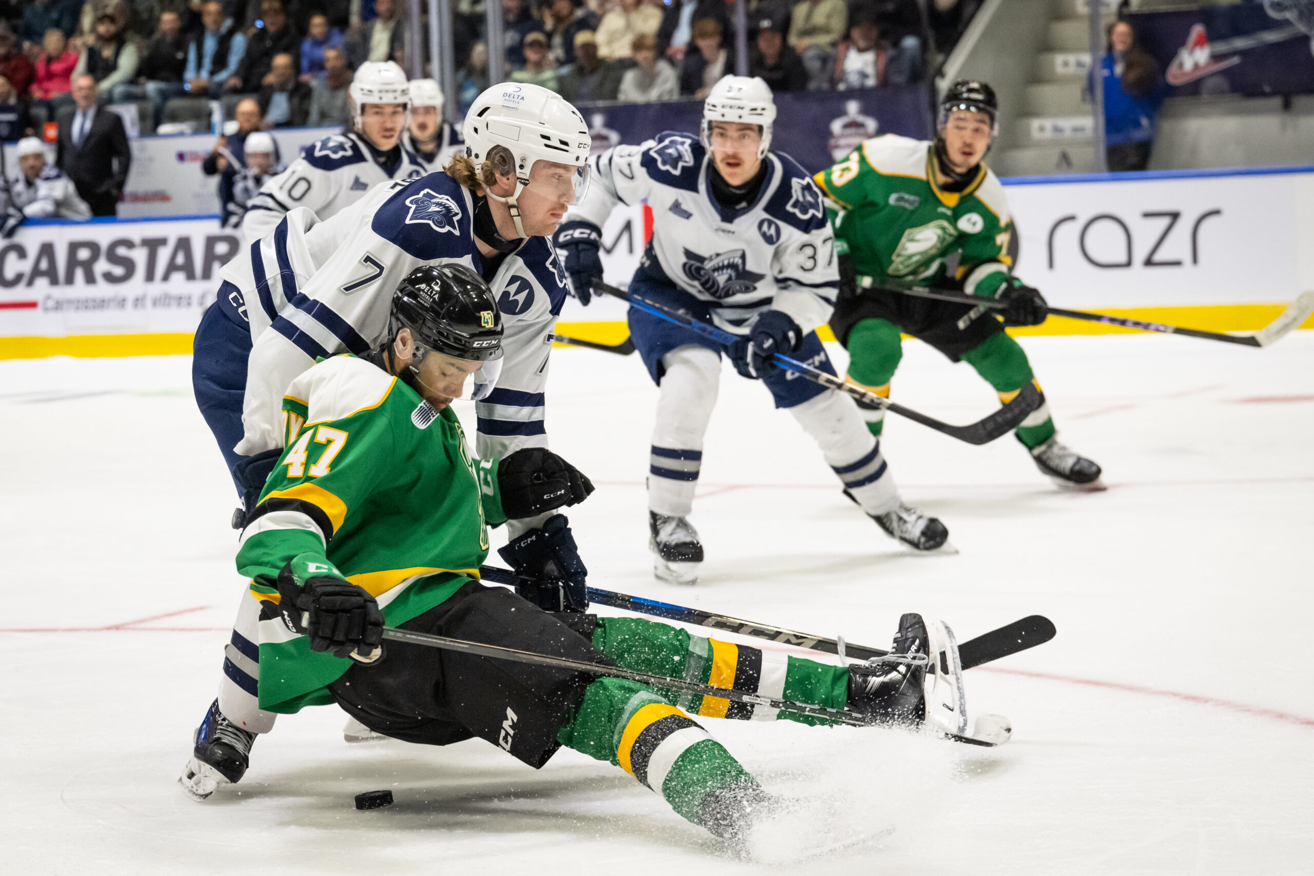 London Knights improve to 2-0 at 2025 Memorial Cup with 3-1 win over Rimouski 43 London player falls on his butt, almost on the puck
