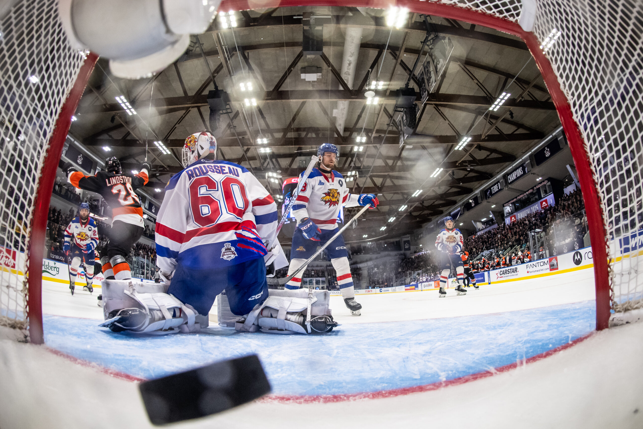 Ryder Ritchie leads Medicine Hat Tigers past Moncton Wildcats 42 Ryder Ritchie and Medicine Hat Tigers score against Moncton Wildcats