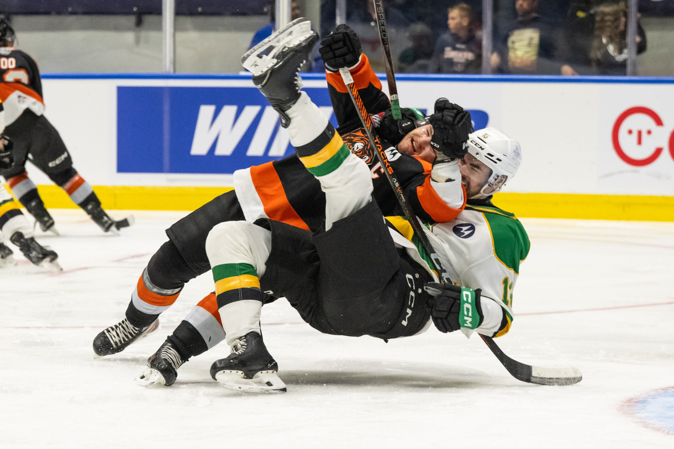 Medicine Hat Tigers advance to Memorial Cup final, London will play semifinal on Friday 42 Medicine Hat Tigers and London Knights players tangled up and falling