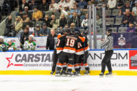 Medicine Hat Tigers celebrate a goal against the London Knights