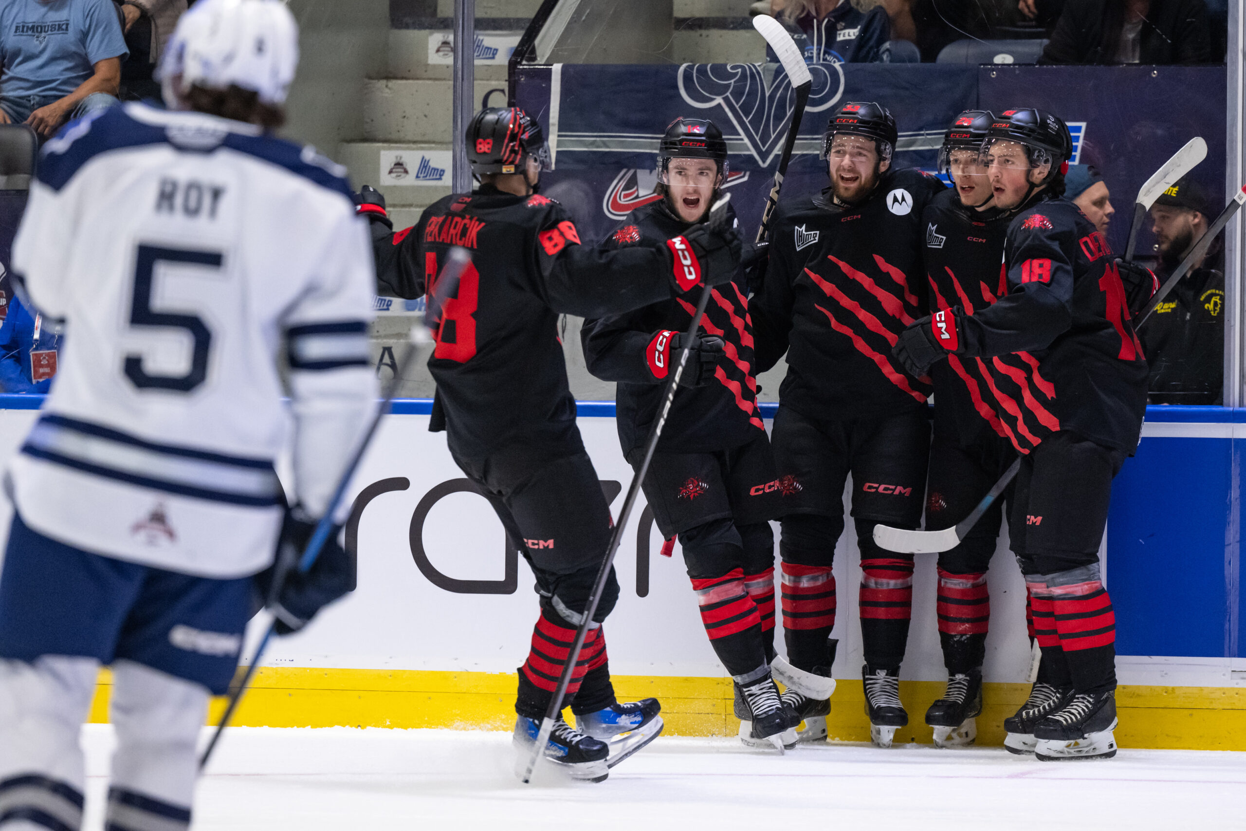 2025 Memorial Cup: Wildcats rally through tragedy to earn Memorial Cup semifinal berth 42 Wildcats celebrate goal during Memorial Cup game against Rimouski