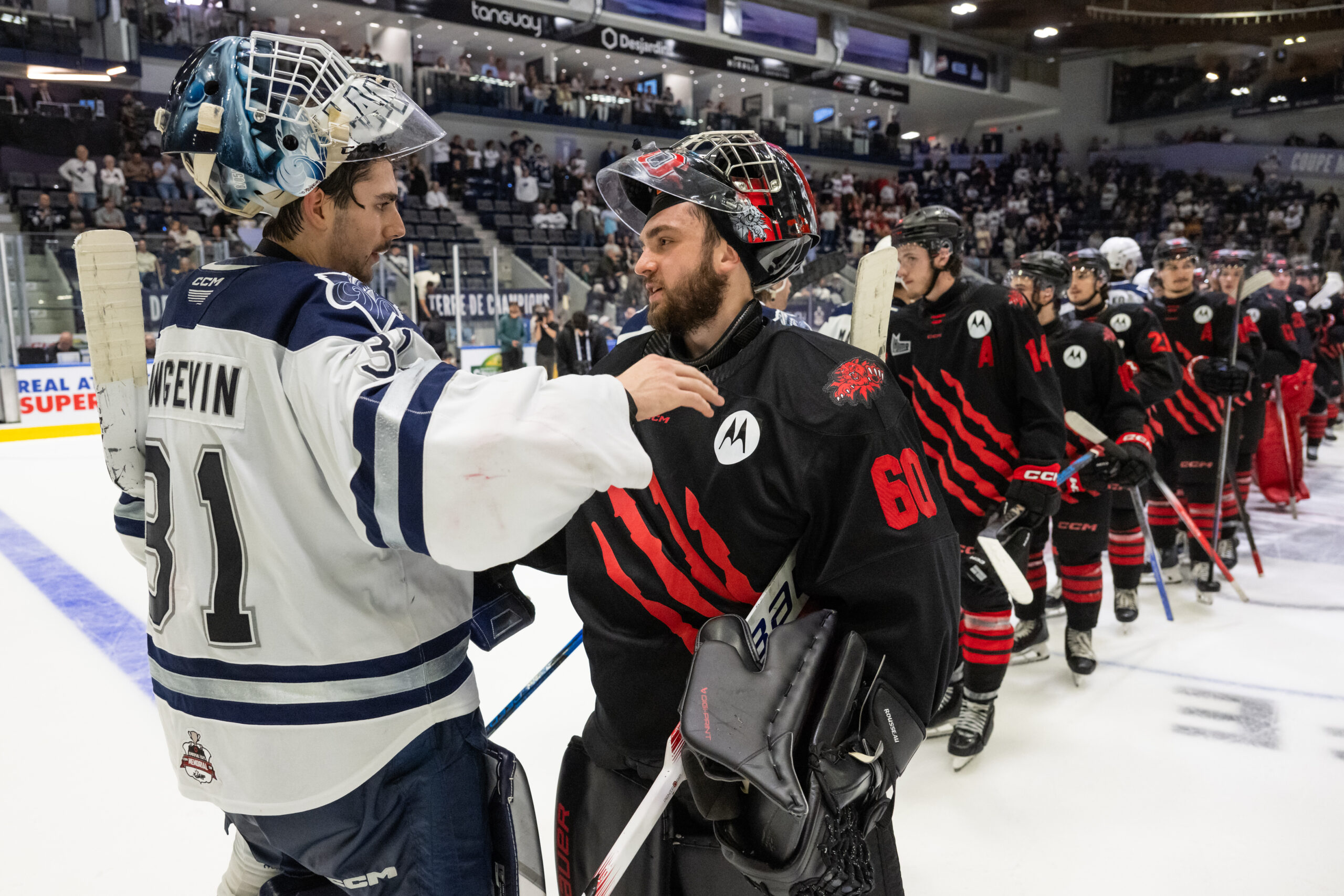 2025 Memorial Cup: Wildcats rally through tragedy to earn Memorial Cup semifinal berth 43 Wildcats and Océanic shake hands during Memorial Cup game