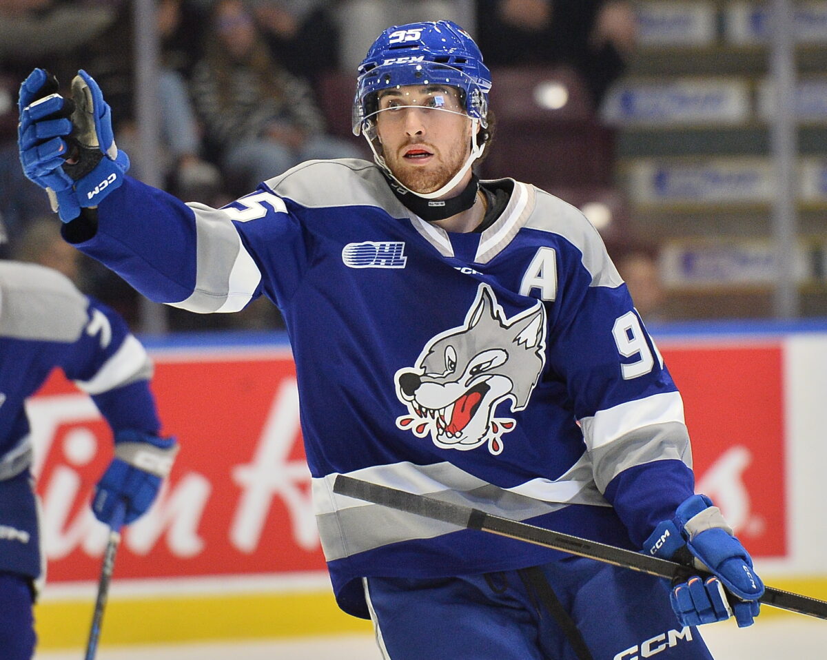 Wolves forward Nick DeAngelis