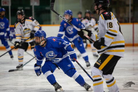 Cubs forward Nolan Newton